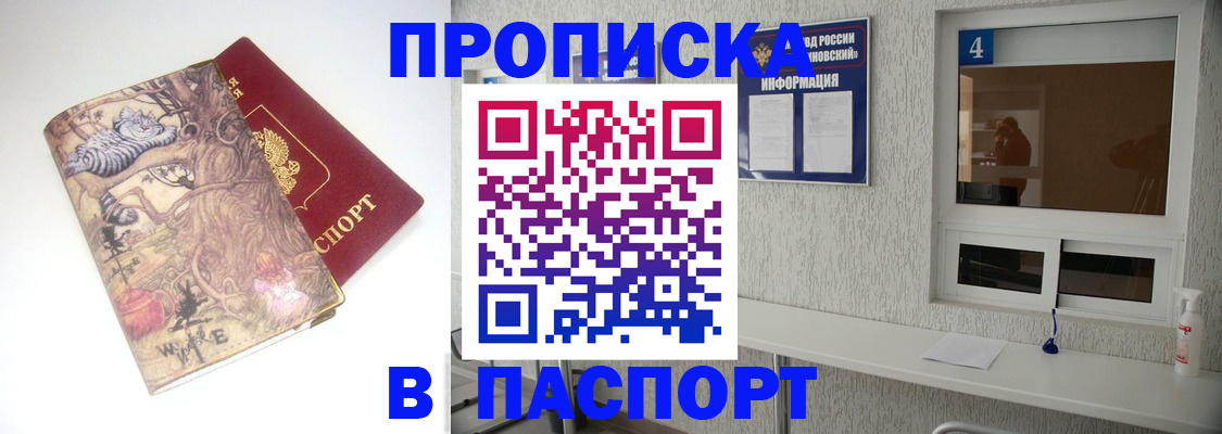 найти адрес прописки в Камышине