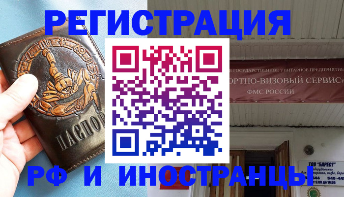 прописка поиск в Камышине